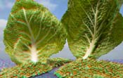artilandscape-45