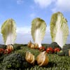 artificieel landschap
